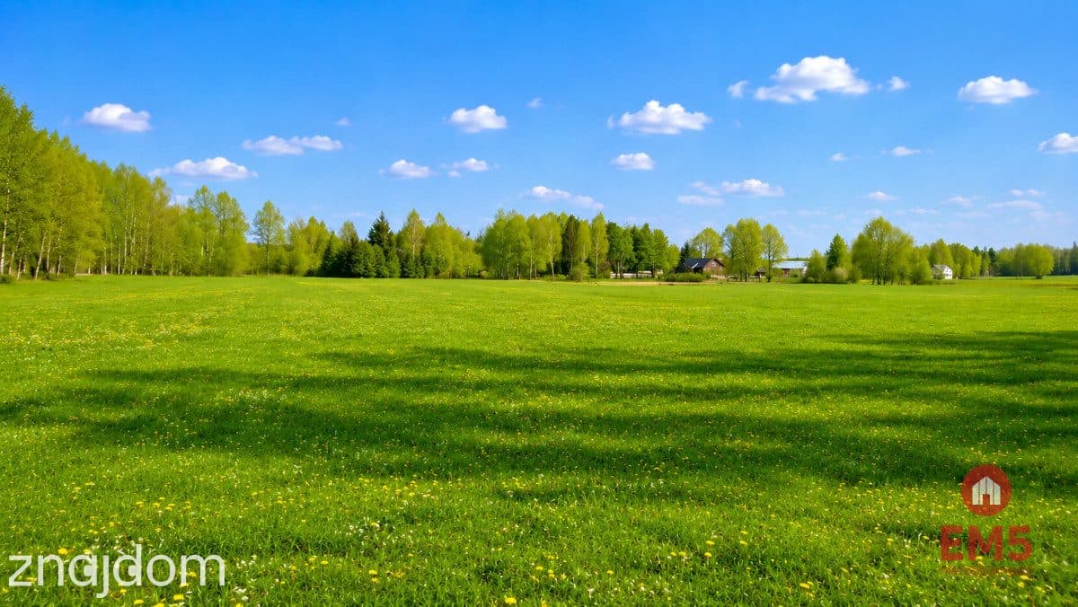Działka rolno-budowlana 2,5 ha. Nowosiółki - zdjęcie 6