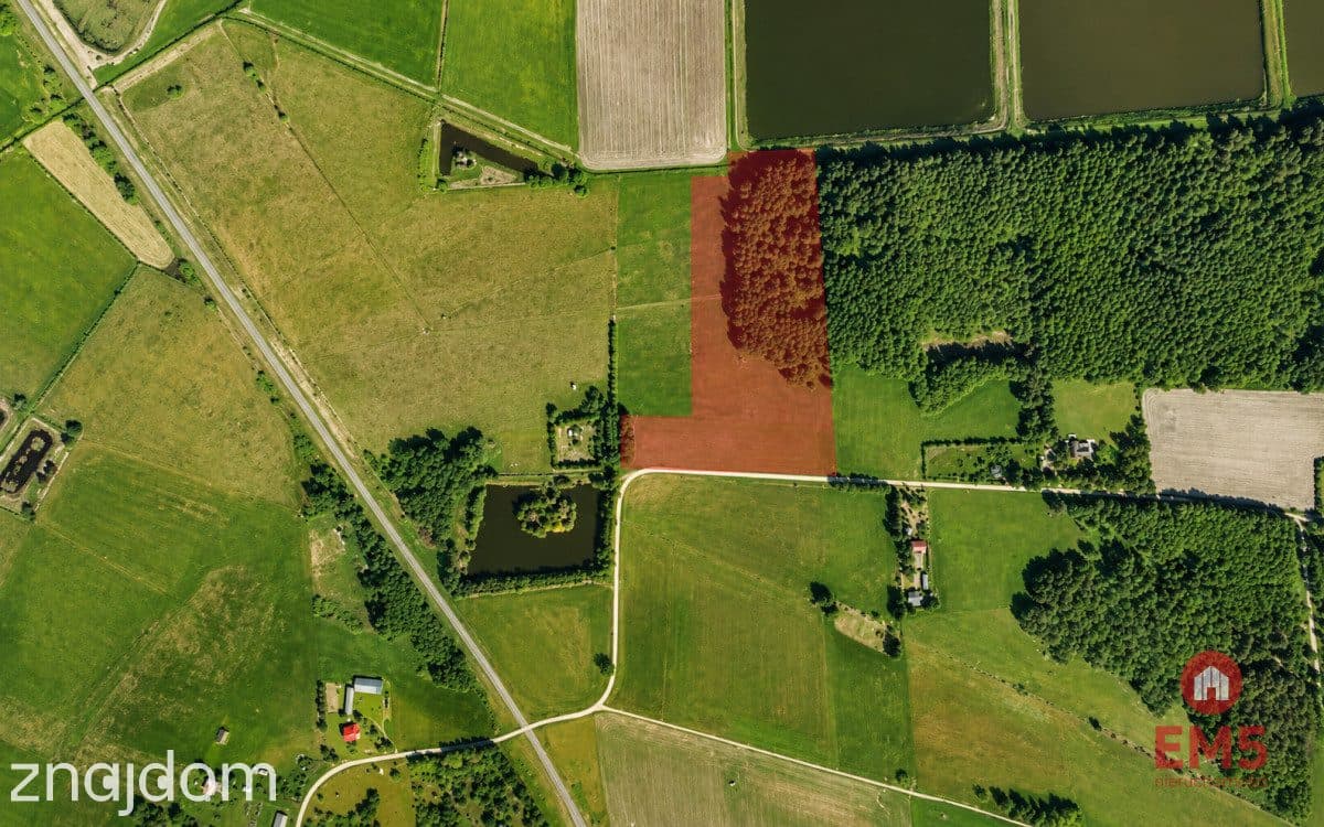 Działka rolno-budowlana 2,5 ha. Nowosiółki - zdjęcie 3