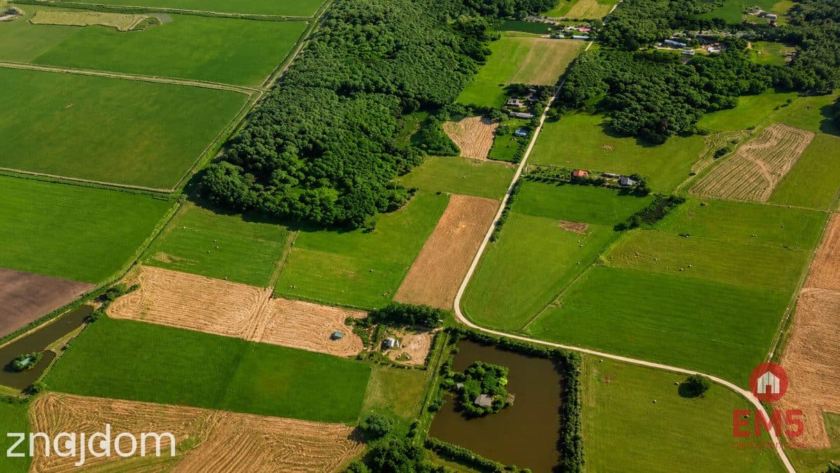 Działka rolno-budowlana 2,5 ha. Nowosiółki - zdjęcie 4