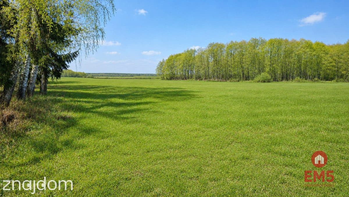 Działka rolno-budowlana 2,5 ha. Nowosiółki - zdjęcie 2