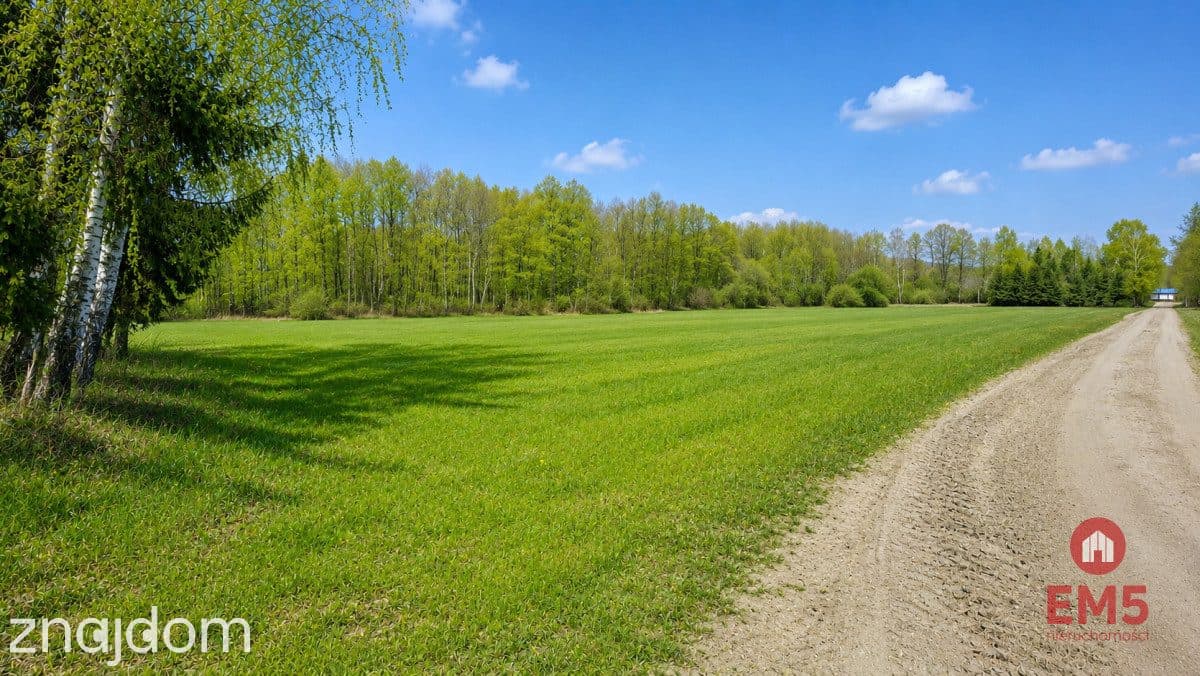 Działka rolno-budowlana 2,5 ha. Nowosiółki