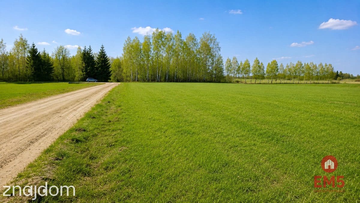 Działka rolno-budowlana 2,5 ha. Nowosiółki - zdjęcie 7