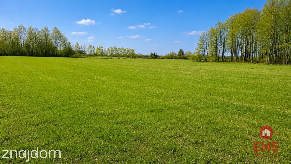 Działka rolno-budowlana 2,5 ha. Nowosiółki - zdjęcie 8