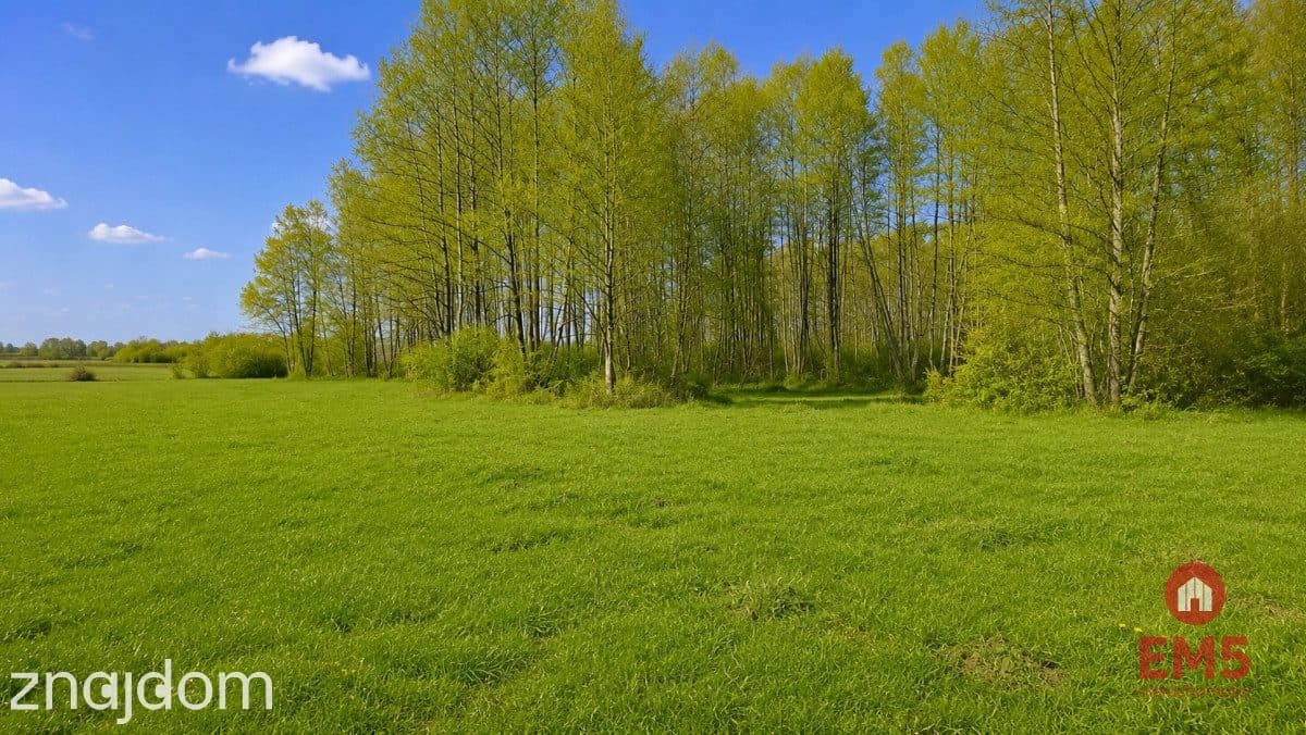 Działka rolno-budowlana 2,5 ha. Nowosiółki - zdjęcie 9