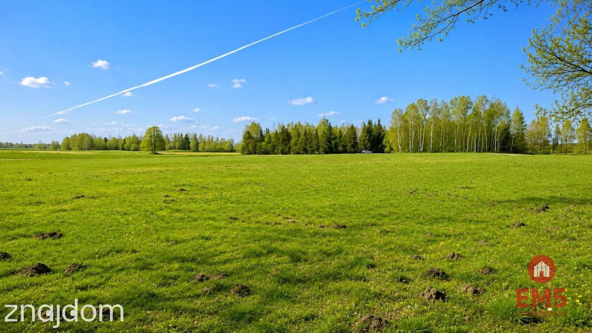 Działka rolno-budowlana 2,5 ha. Nowosiółki - zdjęcie 10