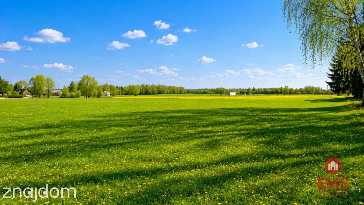 Działka rolno-budowlana 2,5 ha. Nowosiółki - zdjęcie 11