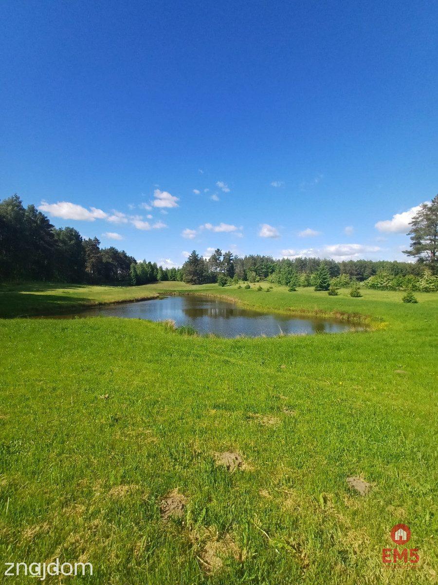 Drewniany dom premium nad stawem | 1 ha | Sauna | - zdjęcie 19