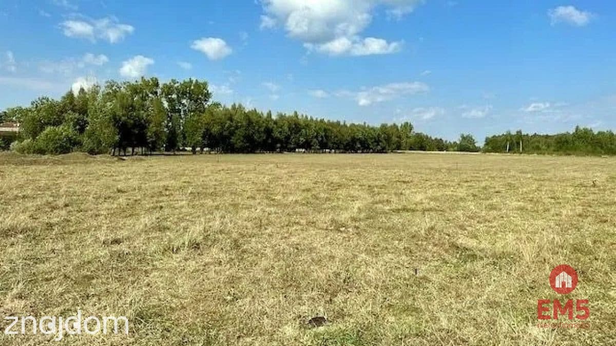 Działka budowlana 1000 m2, Rafałówka - zdjęcie 4