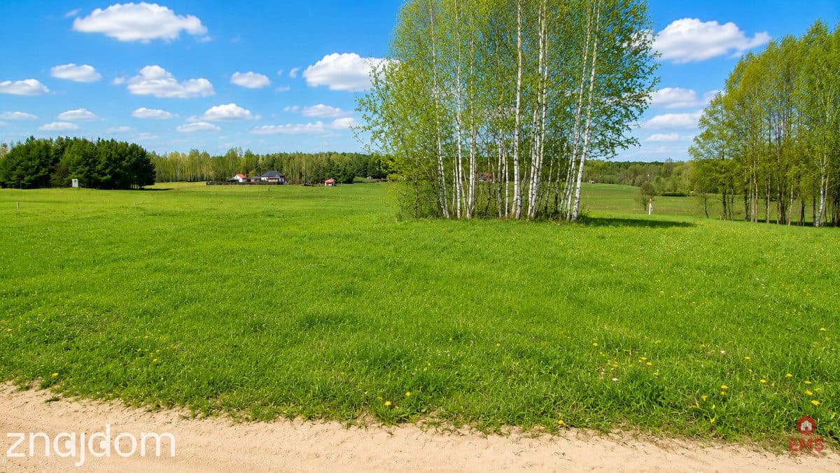 Działka budowlana 1000 m2, Tołcze - zdjęcie 4