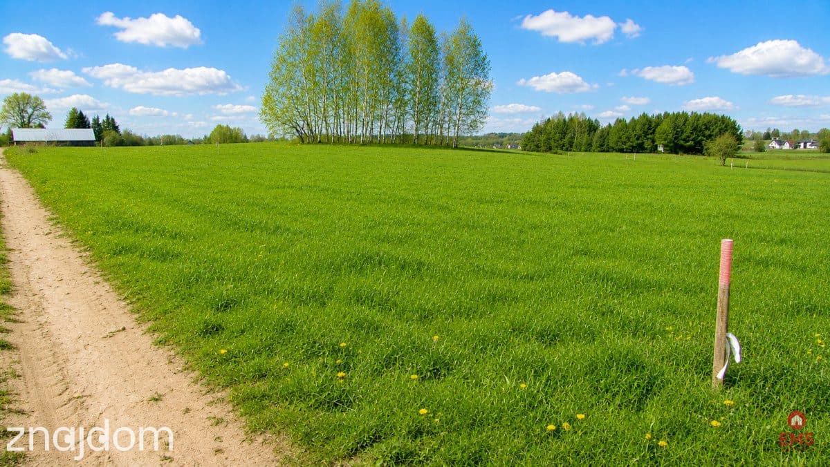 Działka budowlana 1000 m2, Tołcze - zdjęcie 5