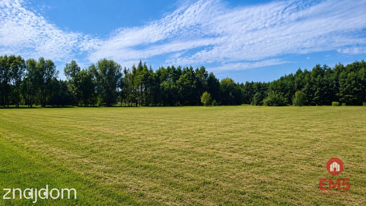 Działka 4400 m2, Szudziałowo - zdjęcie 5