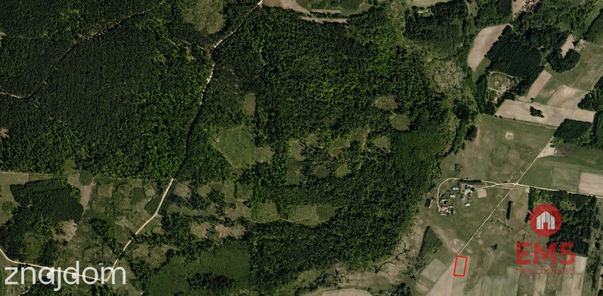 Działka w otulinie Puszczy Knyszyńskiej z WZ - zdjęcie 8