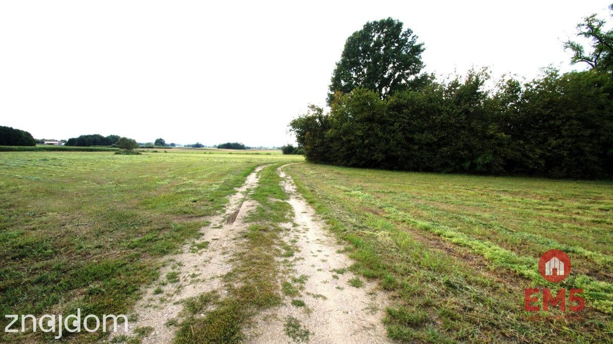 Budynek/hala na wynajem w pobliżu Jeżewa Starego - zdjęcie 8