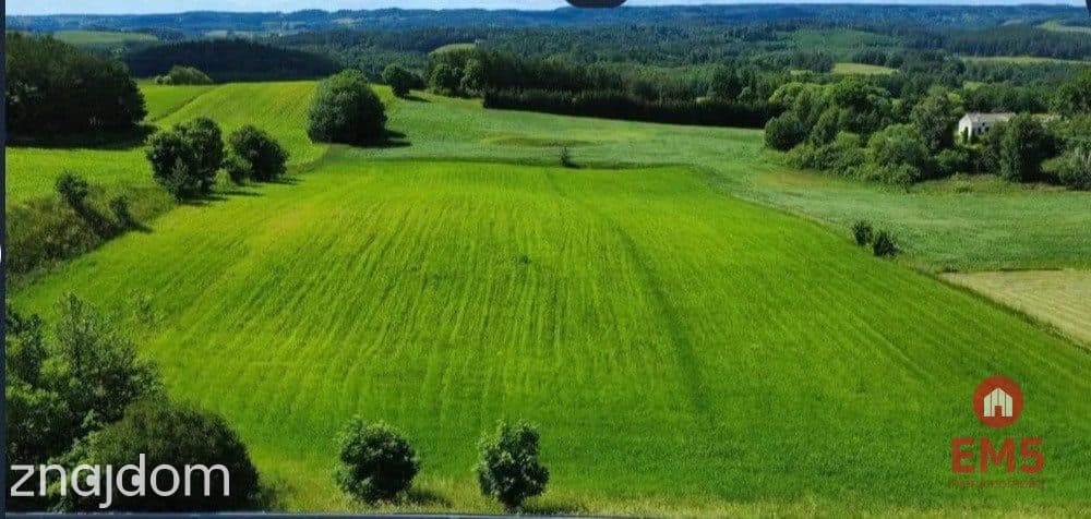 ATRAKCYJNA DZIAŁKA 8 964 m² – GULBIENISZKI - zdjęcie 2