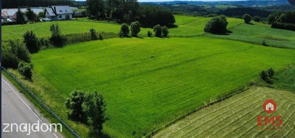 ATRAKCYJNA DZIAŁKA 8 964 m² – GULBIENISZKI - zdjęcie 3