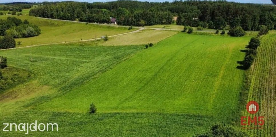 ATRAKCYJNA DZIAŁKA 8 964 m² – GULBIENISZKI - zdjęcie 4