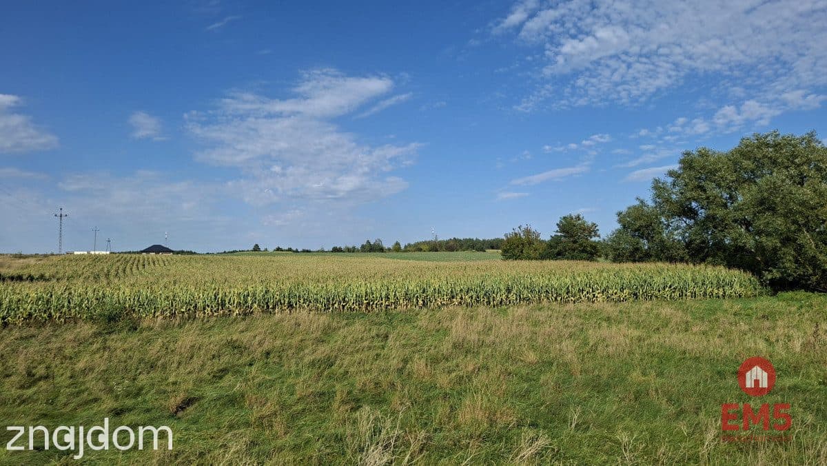 Działka inwestycyjna przy S8 - zdjęcie 4