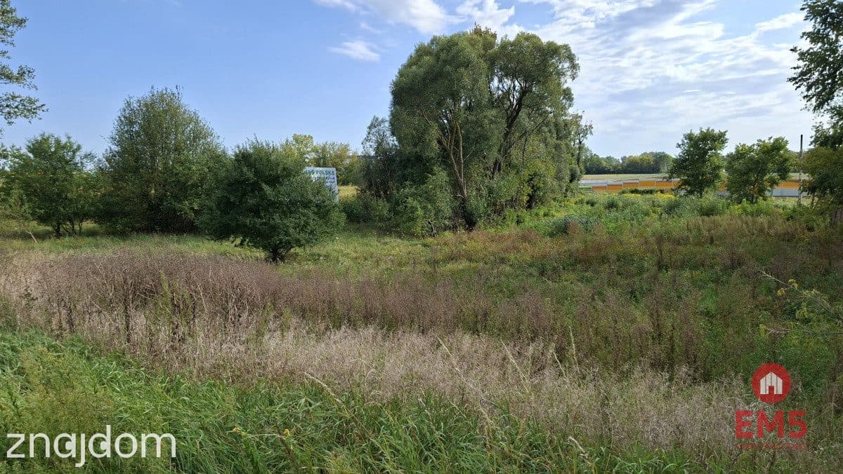 Działka inwestycyjna przy S8 - zdjęcie 8