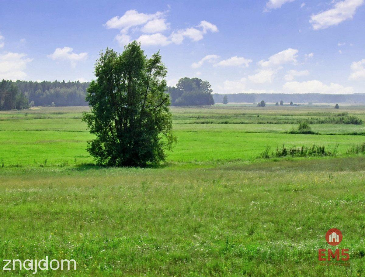 Piękne malownicze działki  z WZ, gmina Suraż - zdjęcie 7
