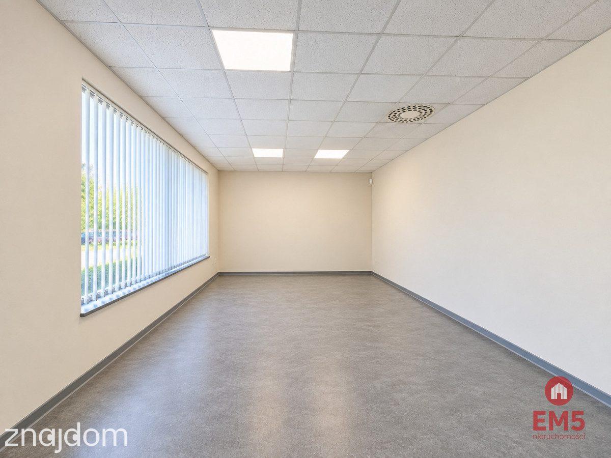 Lokal użytkowy 262 m2 - zdjęcie 3