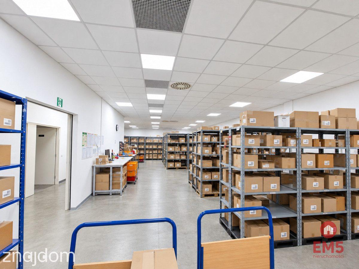 Lokal użytkowy 262 m2 - zdjęcie 2