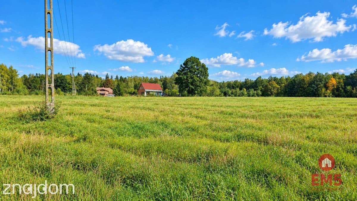 Działka pod lasem. Łubianka