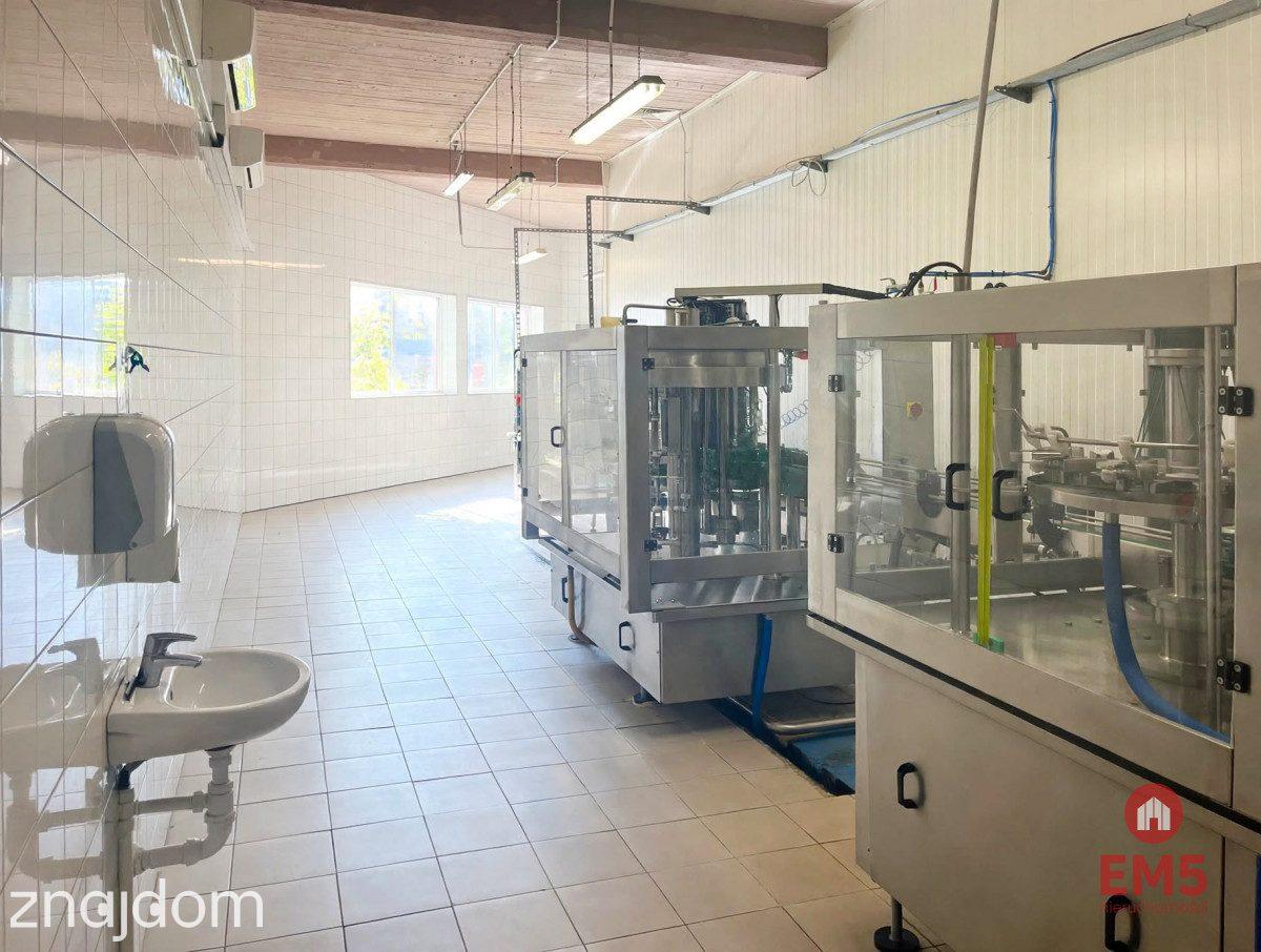 Budynek 800 m2 handel-usługi-produkcja - zdjęcie 7