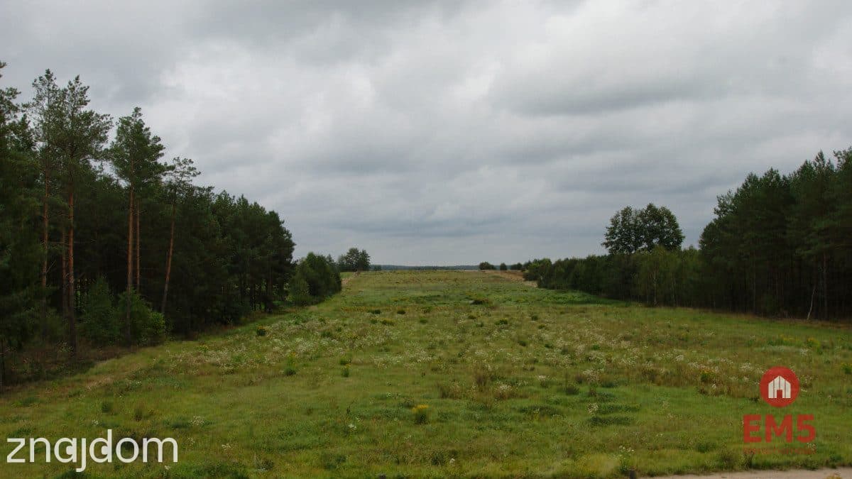 Dom w otoczeniu lasu | działka 2400 m² - zdjęcie 18