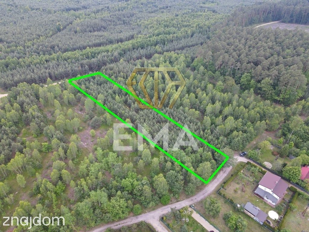 Działka leśna 4464 m² | Herby | MPZP - zdjęcie 5