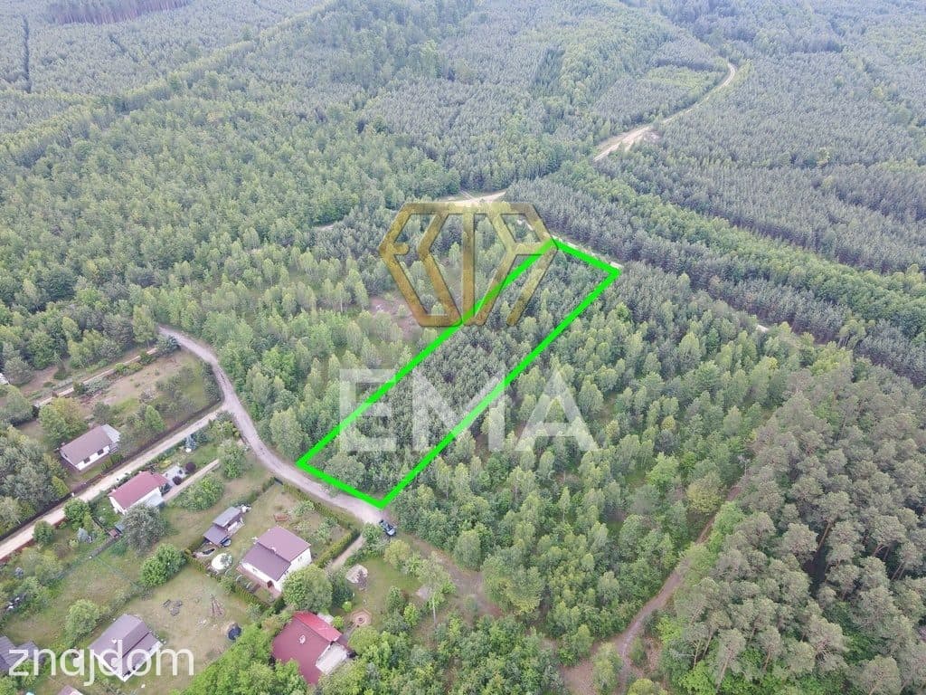 Działka leśna 4464 m² | Herby | MPZP - zdjęcie 7