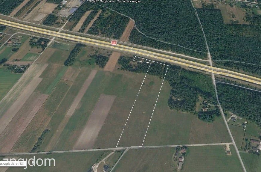 Sprzedaż 3 działek rolnych Młodawin Dolny - zdjęcie 4