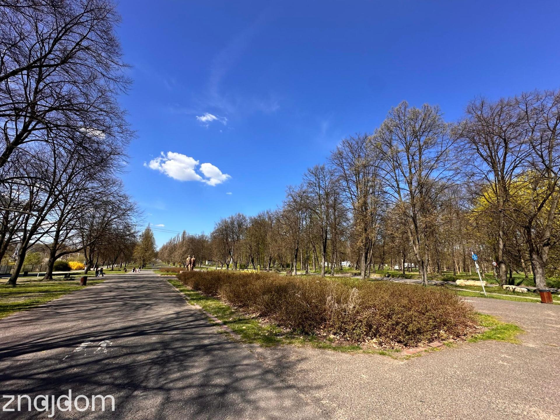 300 m od Parku Śląskigo 1 pok / 36 m - zdjęcie 15