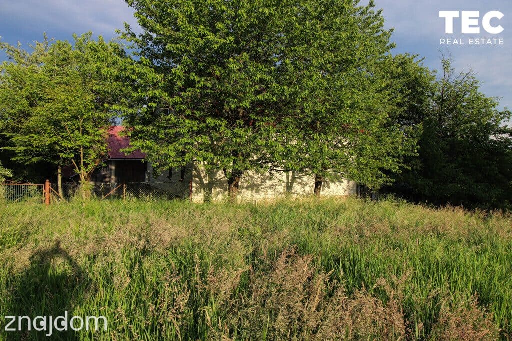 Gospodarstwo z domem i zabudowaniami – 2,51 ha - zdjęcie 12