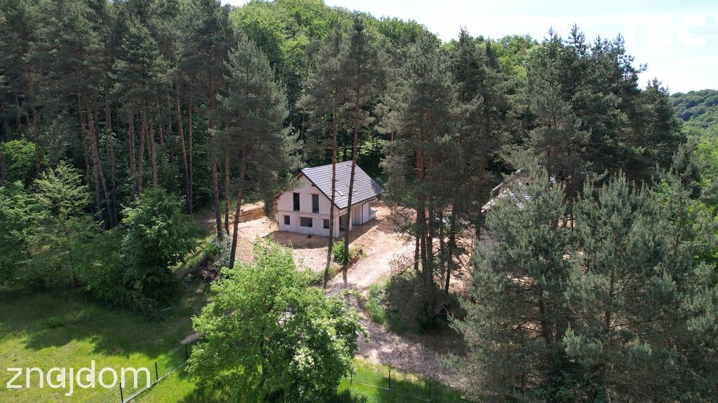Dom wolnostojący z lasem, 141m2 - zdjęcie 3