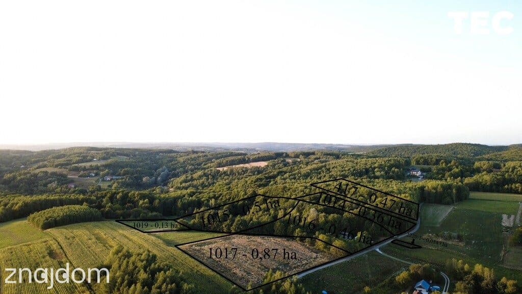 Wyjątkowe siedlisko z własnym lasem – 2,8 ha, Drohobyczka - zdjęcie 2