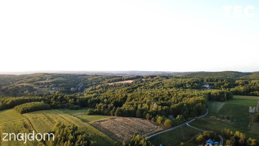 Wyjątkowe siedlisko z własnym lasem – 2,8 ha, Drohobyczka