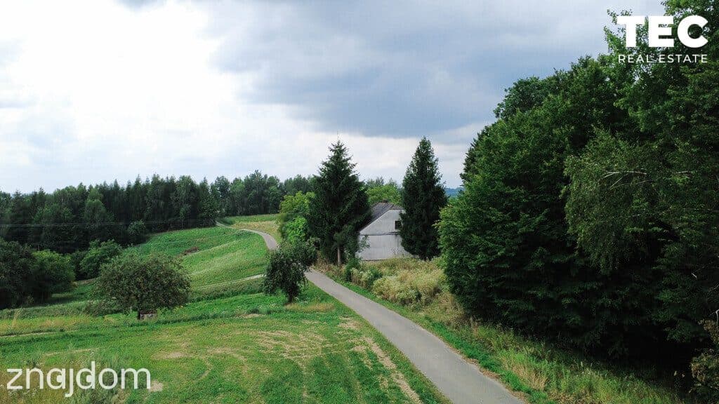 Wyjątkowe siedlisko z własnym lasem – 2,8 ha, Drohobyczka - zdjęcie 3