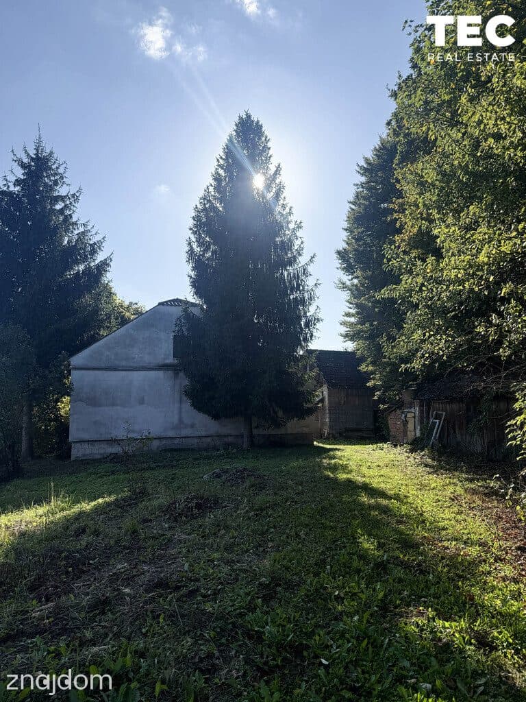 Wyjątkowe siedlisko z własnym lasem – 2,8 ha, Drohobyczka - zdjęcie 7