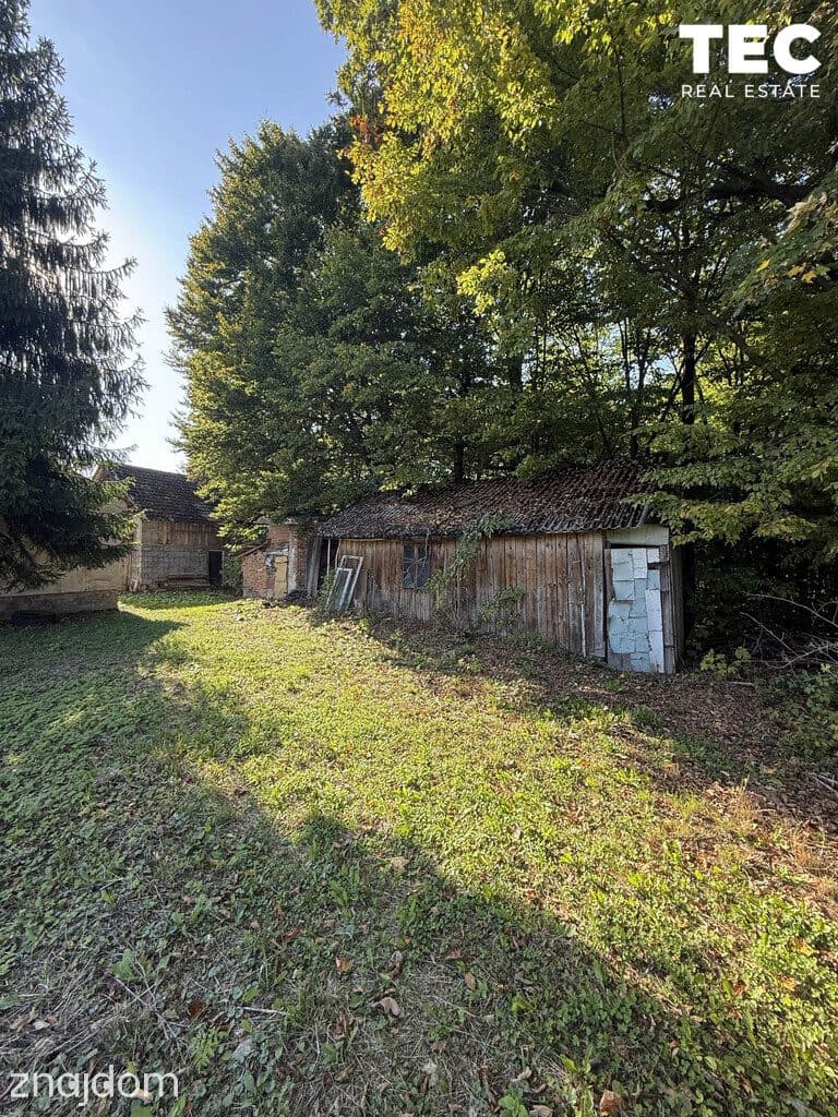 Wyjątkowe siedlisko z własnym lasem – 2,8 ha, Drohobyczka - zdjęcie 8