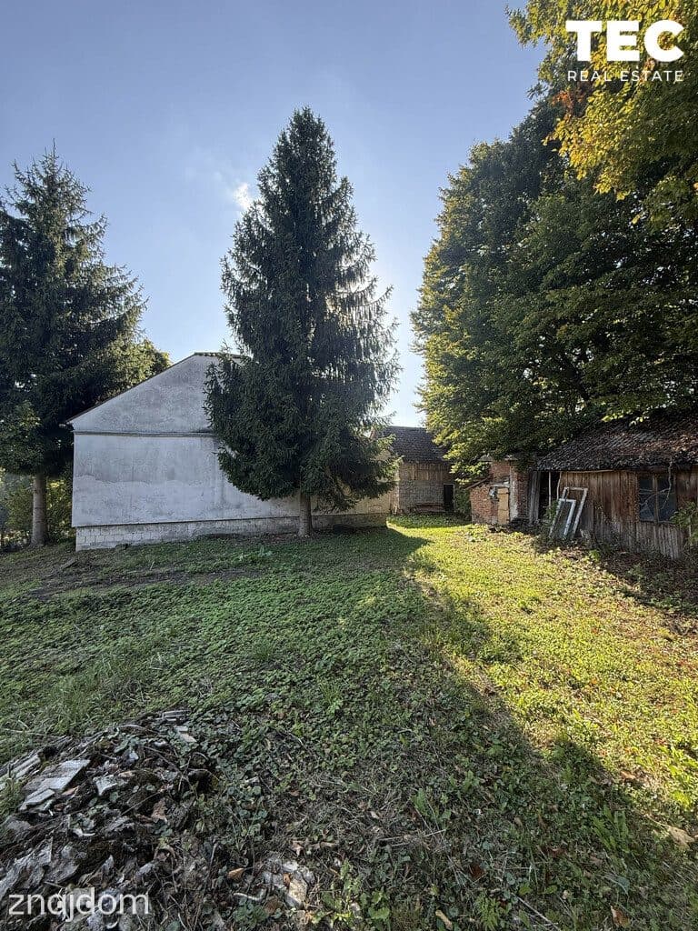 Wyjątkowe siedlisko z własnym lasem – 2,8 ha, Drohobyczka - zdjęcie 9