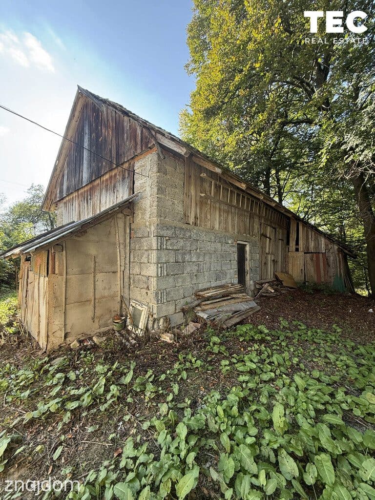 Wyjątkowe siedlisko z własnym lasem – 2,8 ha, Drohobyczka - zdjęcie 10