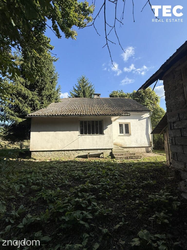 Wyjątkowe siedlisko z własnym lasem – 2,8 ha, Drohobyczka - zdjęcie 11