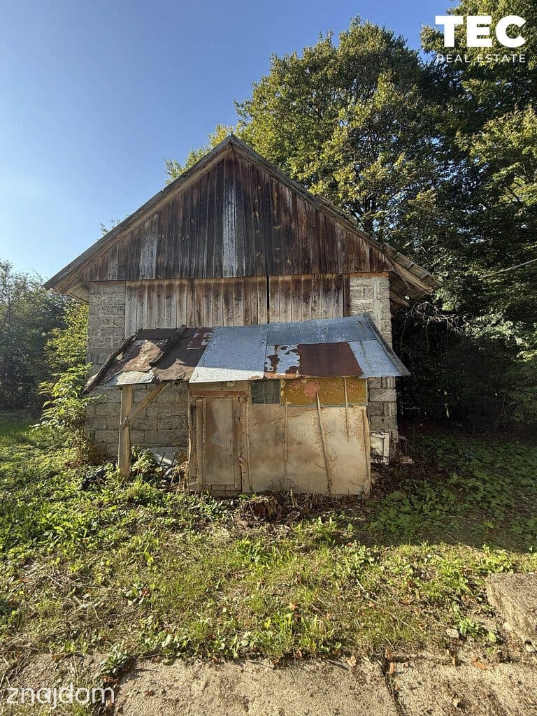 Wyjątkowe siedlisko z własnym lasem – 2,8 ha, Drohobyczka - zdjęcie 12