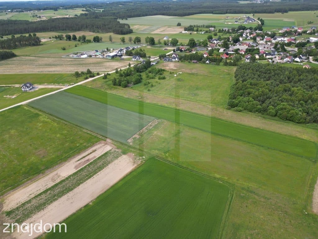 Działka z Warunkami Zabudowy 3 677 m² Węsiory - zdjęcie 4