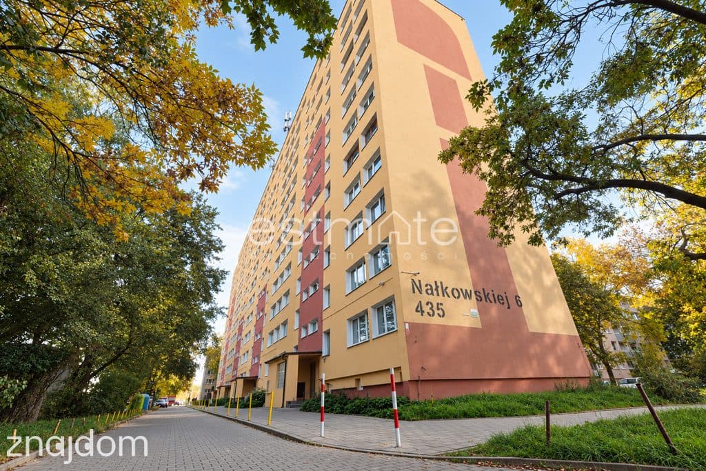 2POK DO WPROWADZENIA DĄBROWA - zdjęcie 16