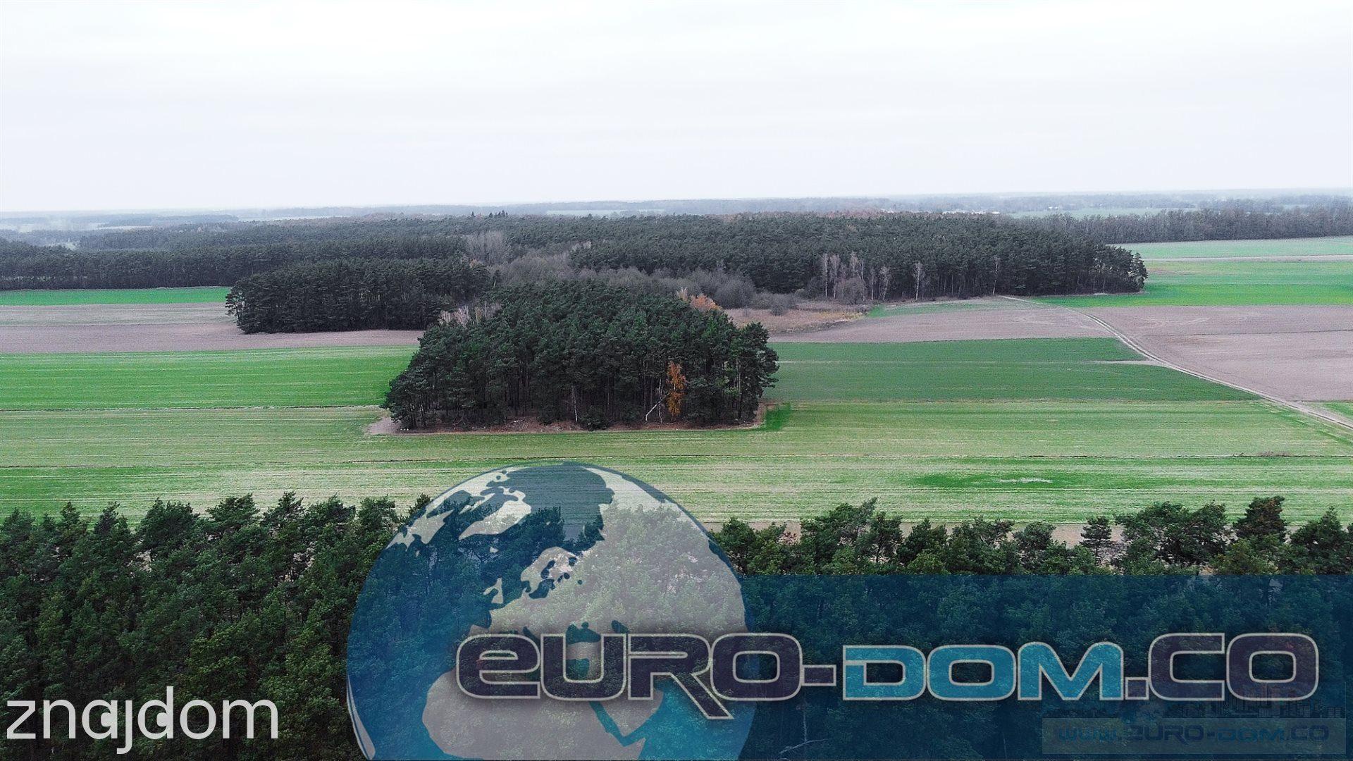 Oferta EDO-GS-5633-1 - zdjęcie 13