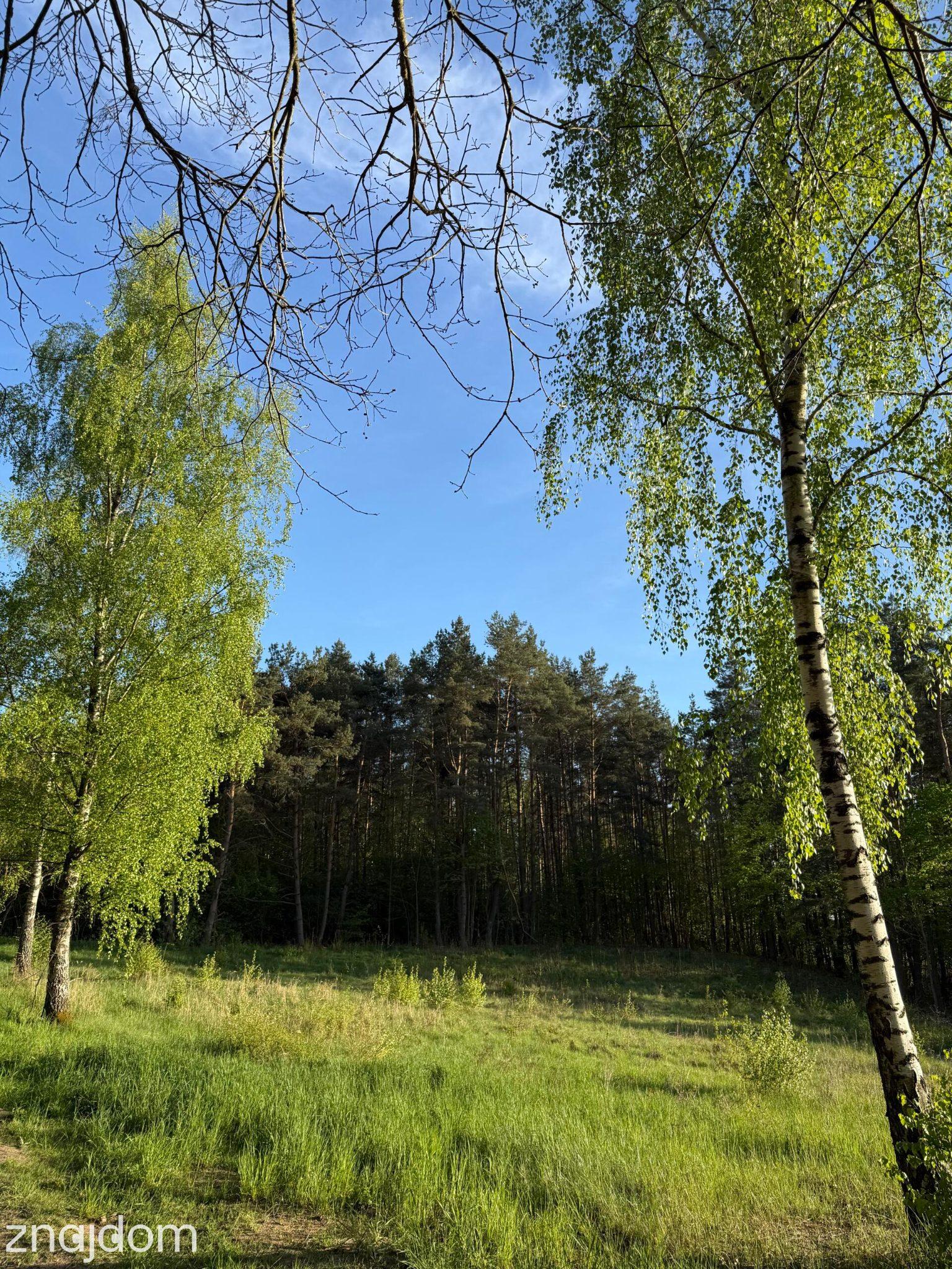 Nowe Drawsko , 250 m do Jeziora . Działka budowlana o pow. 2367 m2 - zdjęcie 3