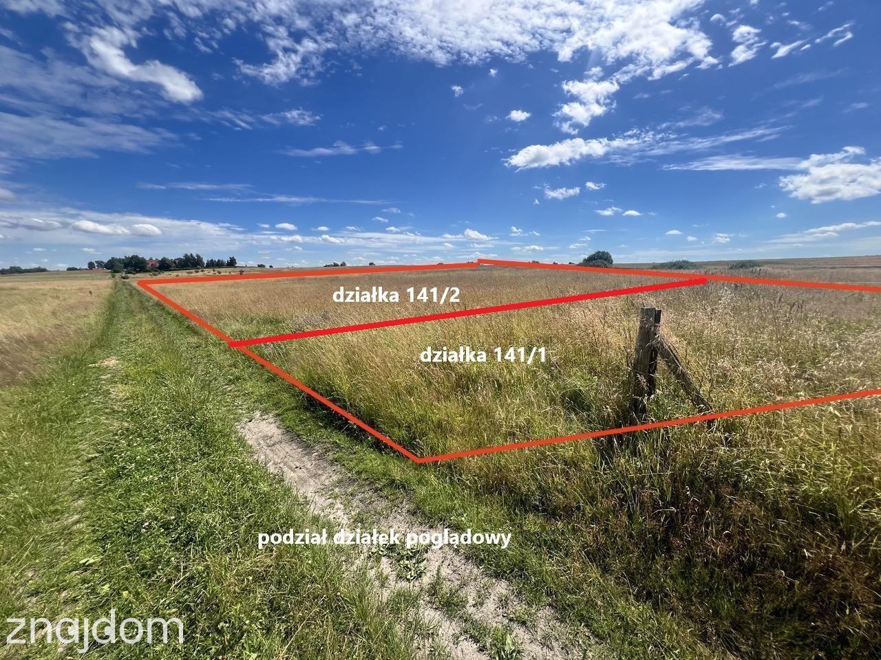 DZIAŁKA o pow. 4.691 m2 Zieleniewo tylko 48 zł/m2. - zdjęcie 11