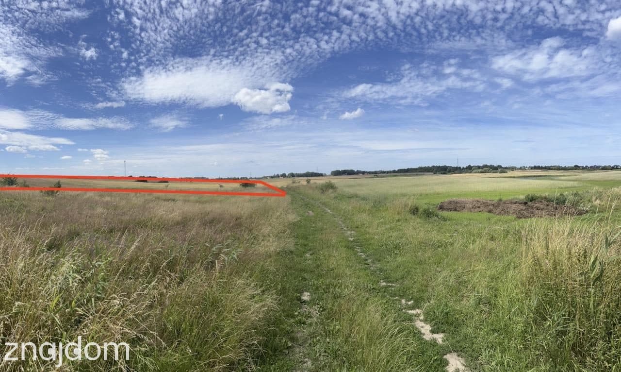 DZIAŁKA o pow. 4.691 m2 Zieleniewo tylko 48 zł/m2. - zdjęcie 5