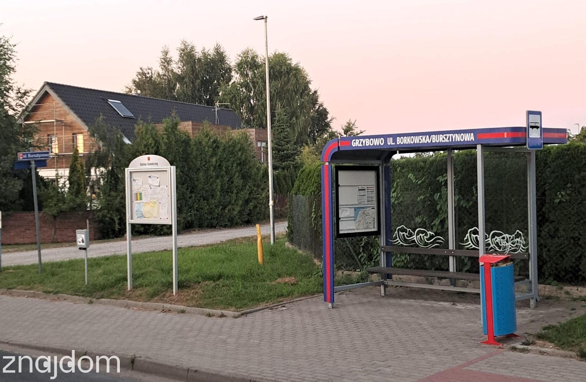 Grzybowo działka pod dom wolno stojący :) - zdjęcie 9